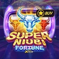 Slots Hammer Casino: Login E Cadastro