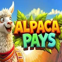 PlayFortuna Casino: Login E Cadastro Grátis